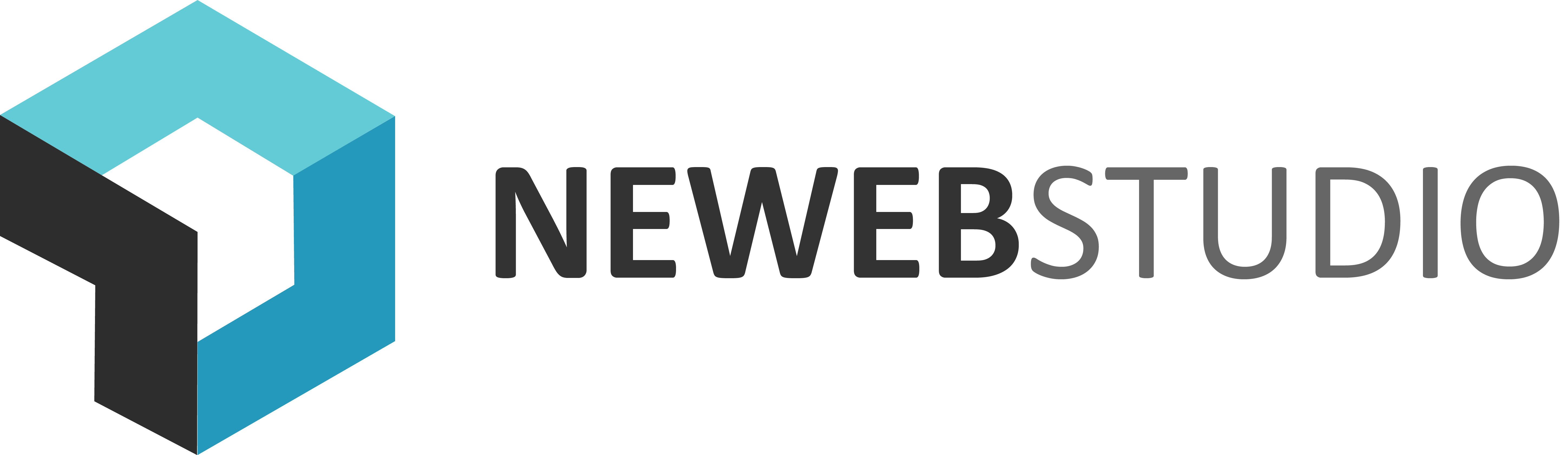 Logo Newebstudio